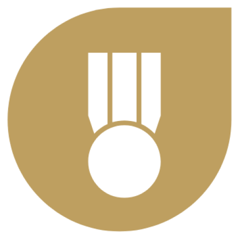 medallion category img